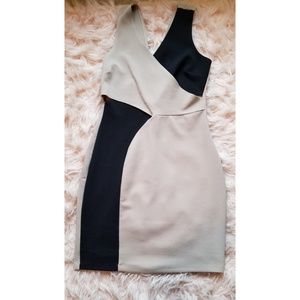 Black & Beige dress